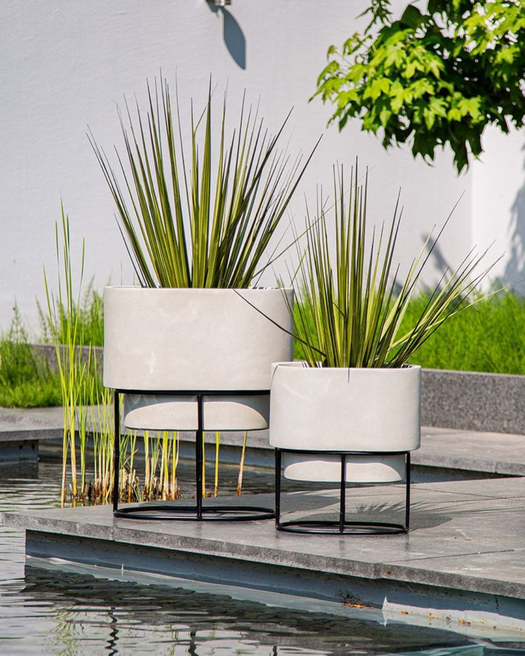 Zwei elegante Fiberglas-Übertöpfe in unterschiedlichen Größen